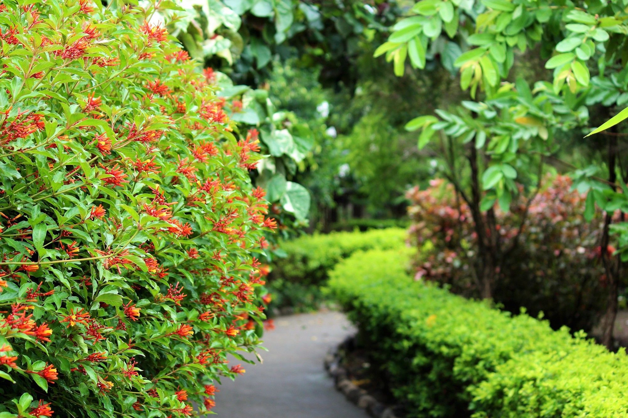 Palette Alaya Resort, Corbett Nainital Exterior foto